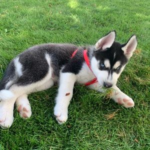 Meet your Posher, Jonathan